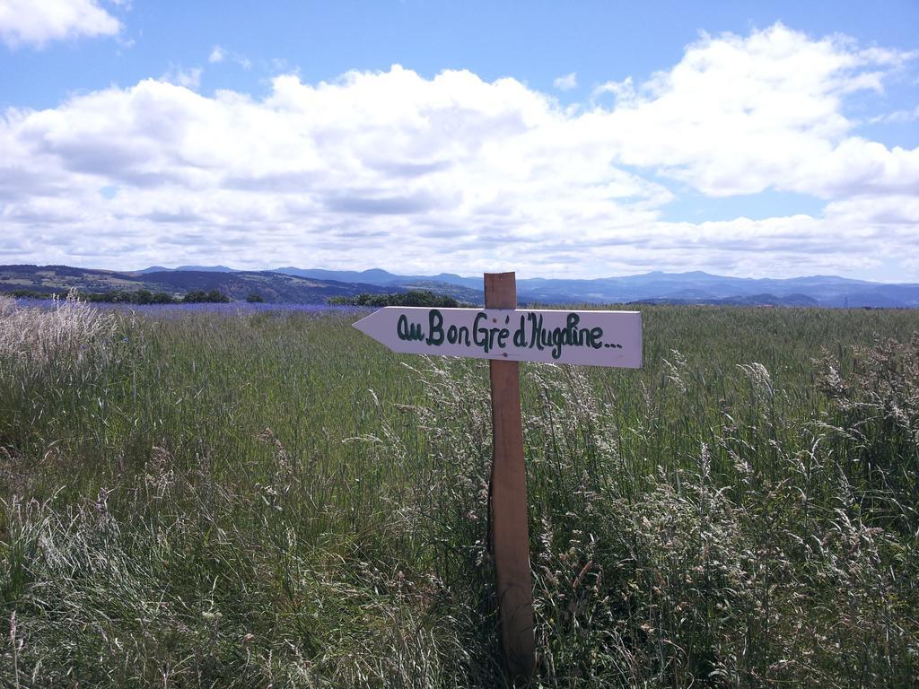 Au Bon Gre D'Hugoline Bed & Breakfast Blanzac  Bagian luar foto