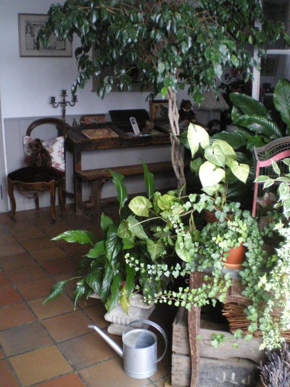 Au Bon Gre D'Hugoline Bed & Breakfast Blanzac  Bagian luar foto
