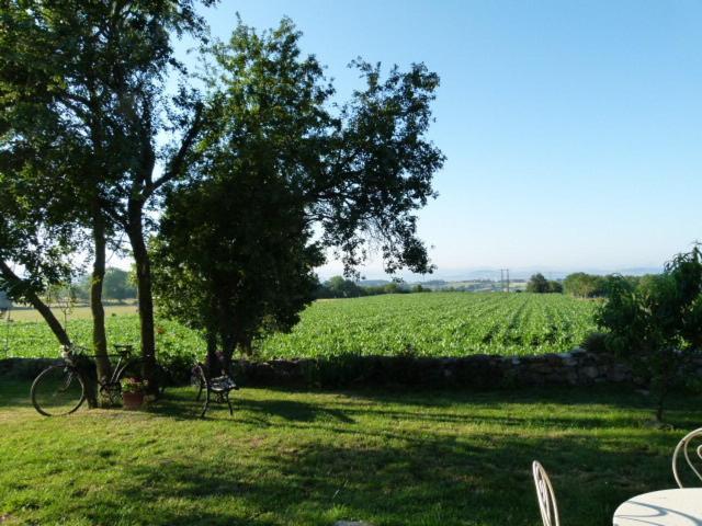 Au Bon Gre D'Hugoline Bed & Breakfast Blanzac  Bagian luar foto