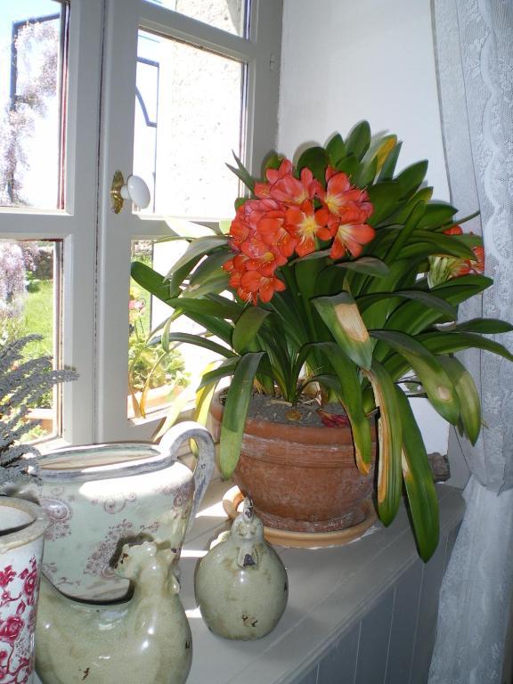 Au Bon Gre D'Hugoline Bed & Breakfast Blanzac  Bagian luar foto